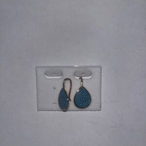 Stainless steel earrings